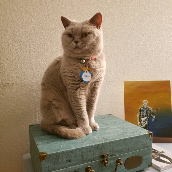 Meet your Posher, Elizabeth! - Picture 4 of 7